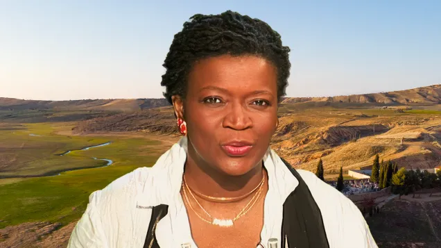 MISSION_LADY_bandeau